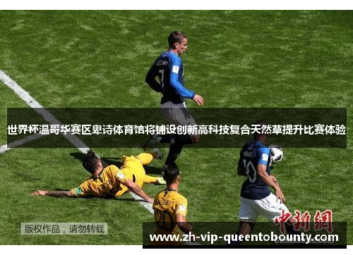 世界杯温哥华赛区卑诗体育馆将铺设创新高科技复合天然草提升比赛体验